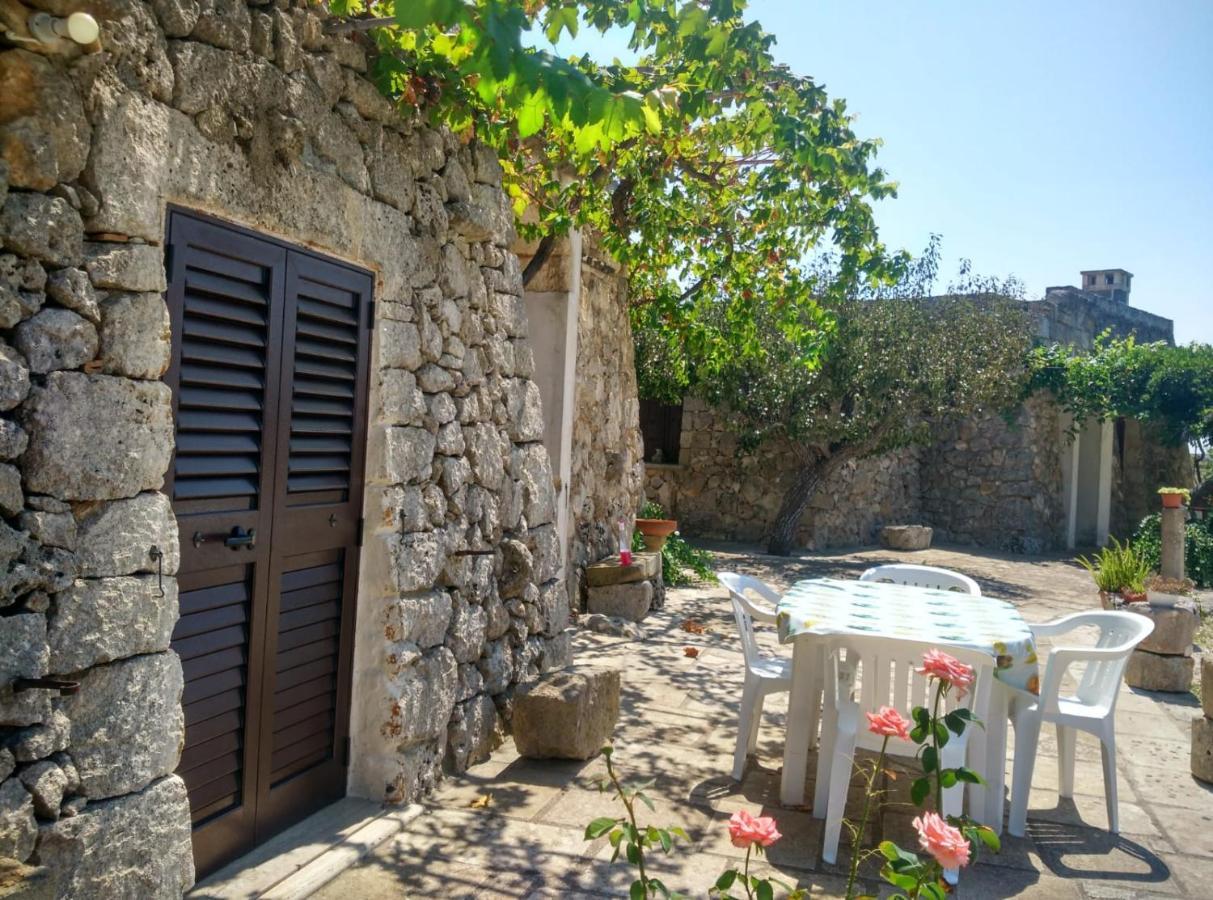 Palacca, Trullo Salentino アンドラーノ エクステリア 写真