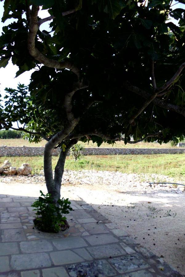 Palacca, Trullo Salentino アンドラーノ エクステリア 写真