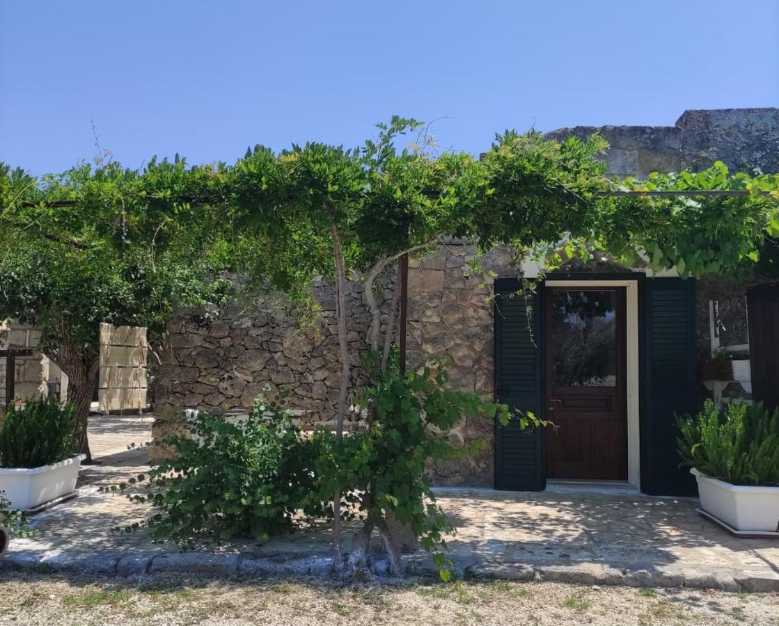 Palacca, Trullo Salentino アンドラーノ エクステリア 写真