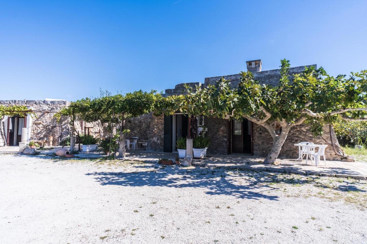 Palacca, Trullo Salentino アンドラーノ エクステリア 写真