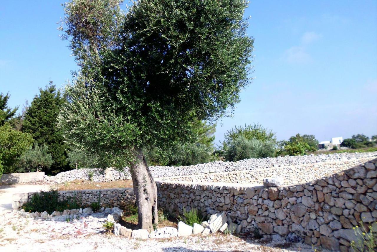 Palacca, Trullo Salentino アンドラーノ エクステリア 写真