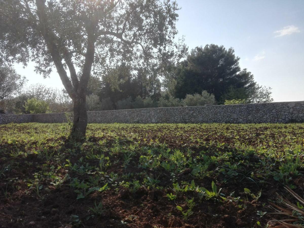 Palacca, Trullo Salentino アンドラーノ エクステリア 写真